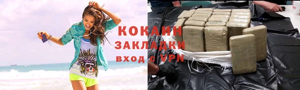 гашик Алзамай