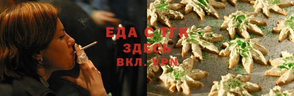 гашик Алзамай