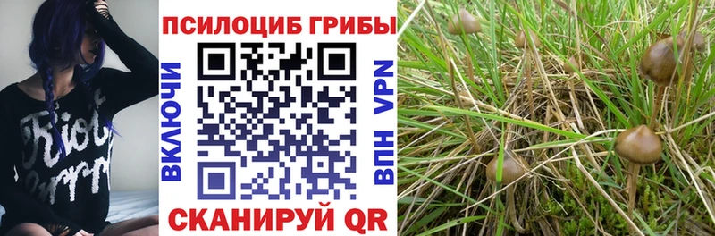 Псилоцибиновые грибы мухоморы OMG вход Алагир